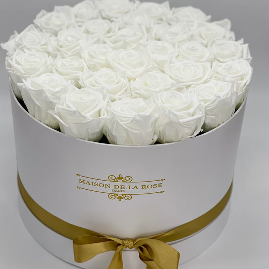 Éternelle Blanche