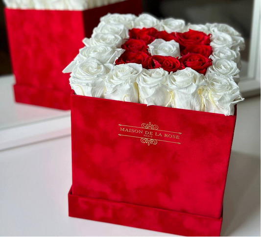 Box Square Red