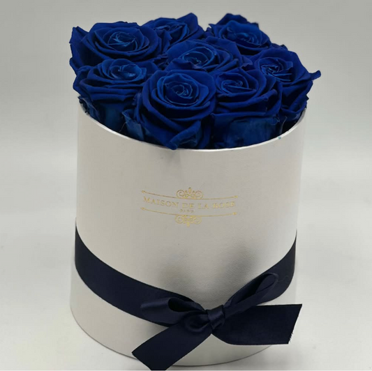 Little Blue Box